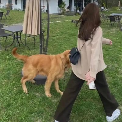 在街上的壁画